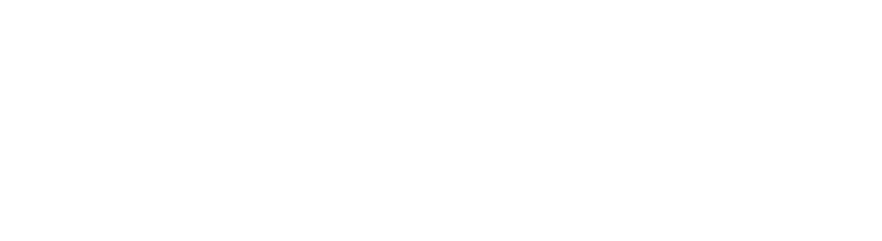 Boletu